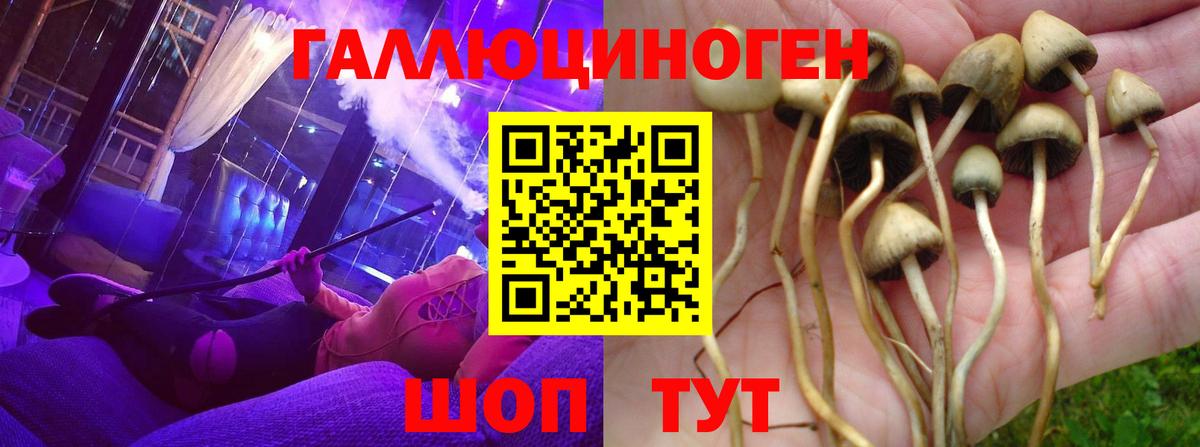 Ростов-на-Дону  Галлюциногенные грибы MAGIC MUSHROOMS  Вход с VPN  наркотики  Галлюциногенные грибы Psilocybine cubensis 